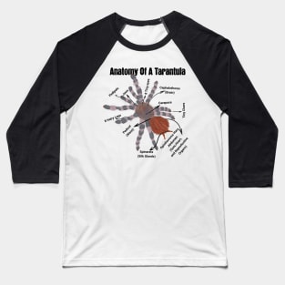 Anatomy of a Tarantula Baseball T-Shirt